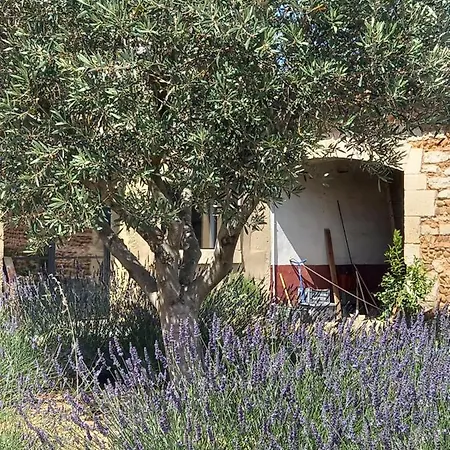 Hotel Le Mas Neuf 30129 Manduel